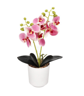 Mākslīgā orhideja Springos HA7424, 33,5 cm