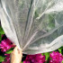 Ziemas agrotekstils balts Springos AG0019 50g/m2 5x3,2m