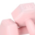 Hanteles Springos FA1063 2 x 2kg