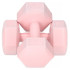 Hanteles Springos FA1063 2 x 2kg