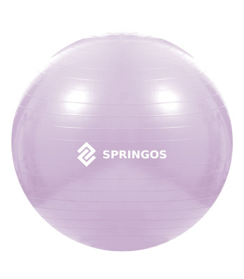 Vingrošanas bumba ar pumpi Springos FB0011 65 cm