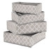 Organizators Springos HA3025