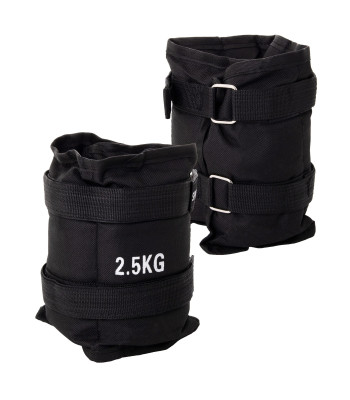 Locītavu un potīšu atsvari Springos, FA0007, 2 x 2,5 kg