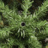 Mākslīgā Ziemassvētku egle Premium Royal Trees Sibīrijas egle ar koka statīvu Springos CT0183 220 cm