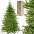 Ziemassvētku egle Springos CT0178, 220 cm