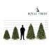 Mākslīgā egle, Sibīrijas egle PE Premium, Royal Trees® Springos CT0238 240 cm