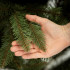 Mākslīgā Ziemassvētku egle Springos Scandinavian Spruce, zaļa ar brūniem akcentiem, 150 cm, CT0265