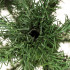 Mākslīgā Ziemassvētku eglīte “Zaļā baltegle”, Springos CT0280, 250 cm