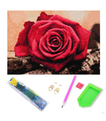 5D Dimanta mozaīka ar koka rāmi 20 × 30 cm