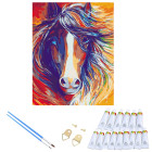 Gleznošana pēc numuriem ar rāmi 30 x 40 cm