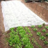 Pret salu vērsta plēve, 1 m x 15 m, 50 g/m², balta