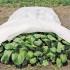 Pret salu vērsta plēve, 1 m x 15 m, 50 g/m², balta