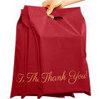 Luksusa kurjera aploksnes pakām ar rokturi - Thank You, 310x420mm, sēžu zāle