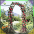 Dārza pergola arku metāla balsts ziediem un dārzeņiem