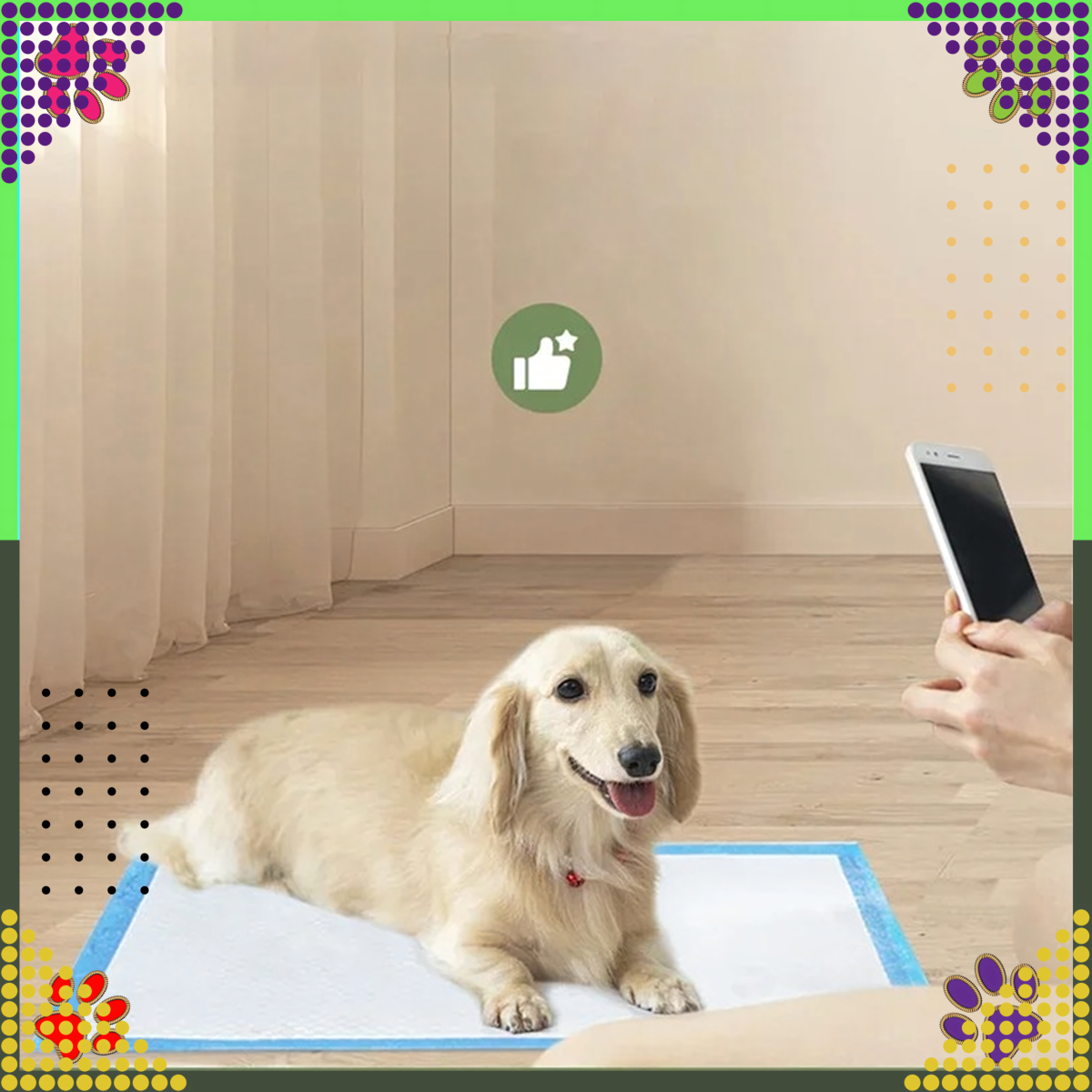 Higiēniskie paliktņi suņiem XL