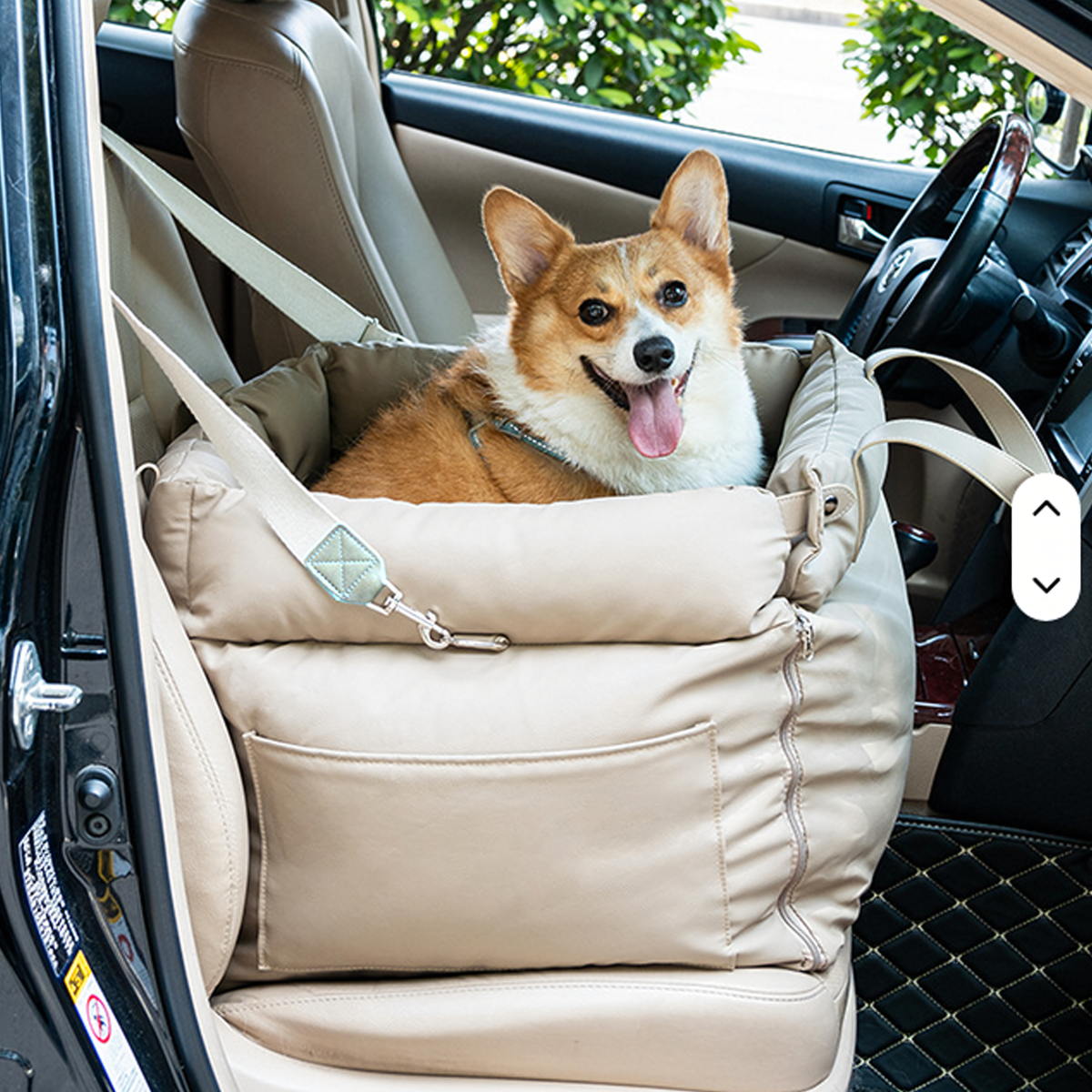 Fotelis-transporteris šuniui ir katei 55x50 cm