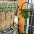 Metāla dārza terases pergola vīteņaugiem, rozēm un ziediem 50x10cm