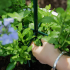 Metāla dārza terases pergola vīteņaugiem, rozēm un ziediem 50x10cm