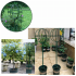 Metāla dārza terases pergola vīteņaugiem, rozēm un ziediem 50x10cm