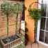 Metāla dārza terases pergola kāpšanas augiem, rozēm un ziediem 50x10cm