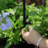 Metāla dārza terases pergola kāpšanas augiem, rozēm un ziediem 50x10cm