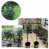 Metāla dārza terases pergola kāpšanas augiem, rozēm un ziediem 50x10cm