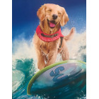 Dimanta Izšūšanas Mozaīkas Komplekts 5D