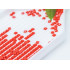 Dimanta mozaīkas komplekts “Sērfojošs suns” 5D 15 x 20 cm
