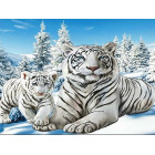 Diamentinė Siuvinėjimo Mozaika Rinkinys 5D 3