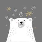 Dimanta Izšūšanas Mozaīkas Komplekts 5D 19