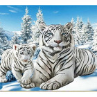 Dimanta gleznošanas komplekts 5D 24