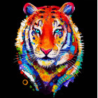 Dimanta gleznošanas komplekts 5D