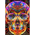 Dimanta Izšūšanas Mozaīkas Komplekts 5D 63