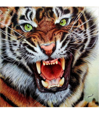 Dimanta izšūšanas mozaīkas komplekts ar lauvas rakstu, 5D 90, 30 x 40 cm