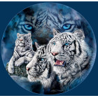 Dimantu Izšūšanas Komplektu Mozaīka 5D 123