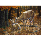 Dimanta Gleznošana Ar Rāmi 30x40 cm