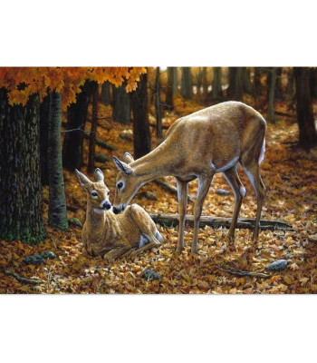 Dimantu mozaīkas komplekts 5D ar audeklu un rāmi 30X40
