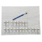 Gleznošana pēc numuriem ar rāmi 40x50 cm