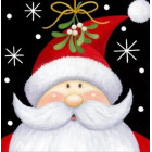 dimanta mozaīkas izšūšanas komplekts 5d 62