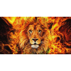 dimanta gleznošanas mozaīkas komplekts 5d 135