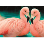 dimantu mozaīkas komplekts 5d 141