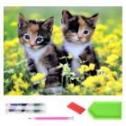 dimanta mozaīkas komplekts xxl 120 x 60 cm mazi kaķēni