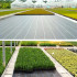 Melns agrotekstils 140 g/m², 1,1 x 50 m, ar uv aizsardzību