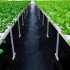 Melns agrotekstils 140 g/m², 1,1 x 50 m, ar uv aizsardzību