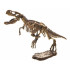 T-Rex 3D Skelets Izrakumi Komplekts ZA1777 A