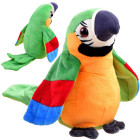 Krāsainā, plīša Papagailis