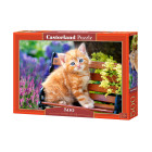 Puzzle 500 gabali Ginger Kitten