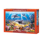 Delfīnu puzle zem ūdens