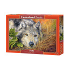 Pure Soul puzles 500 gab.