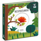 Kapitan Nauka Magiczais Rats. Pārsteigums! KS0674